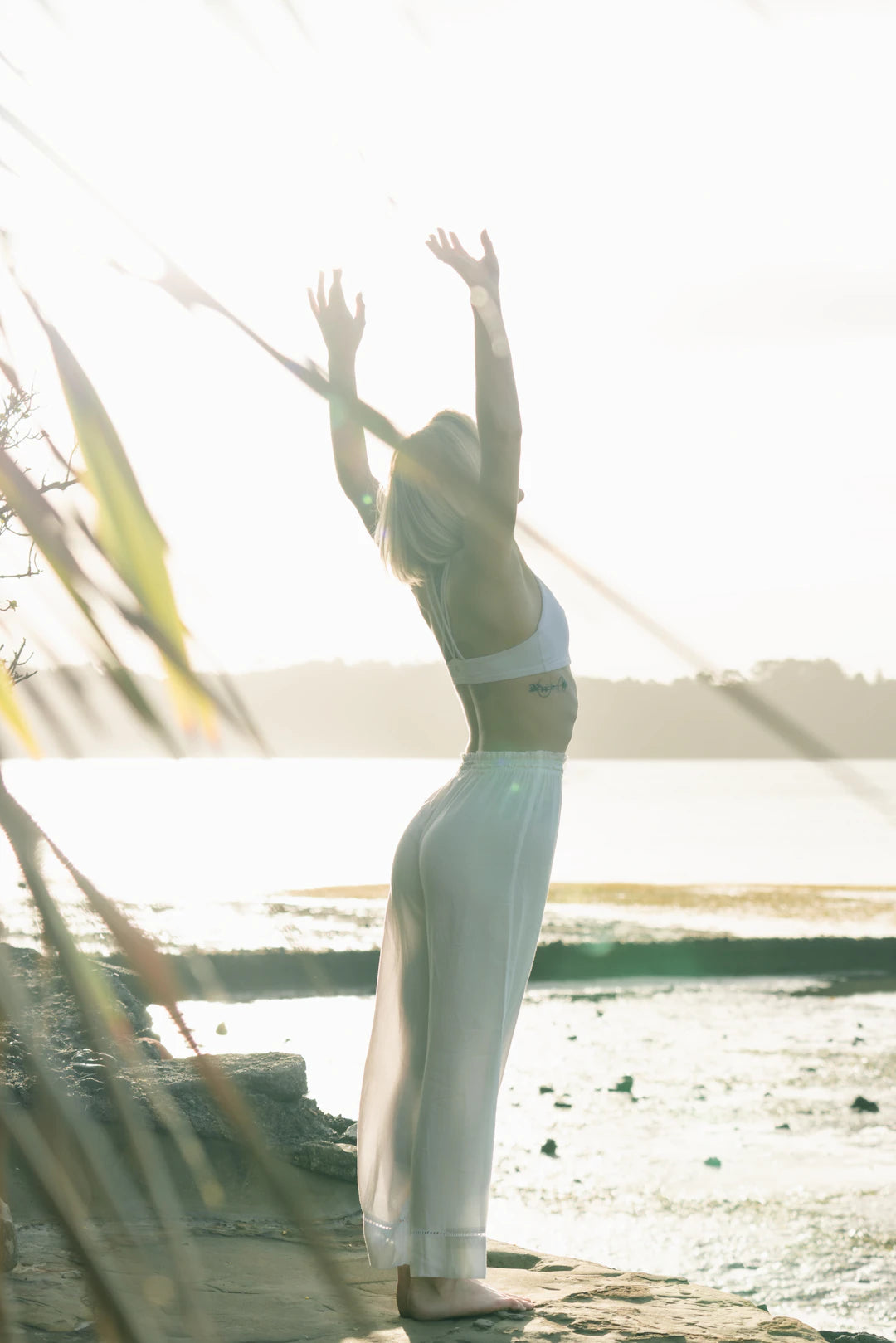 Exploring the Global Journey of Saunas